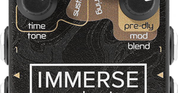 Neunaber Immerse Reverberator MK II